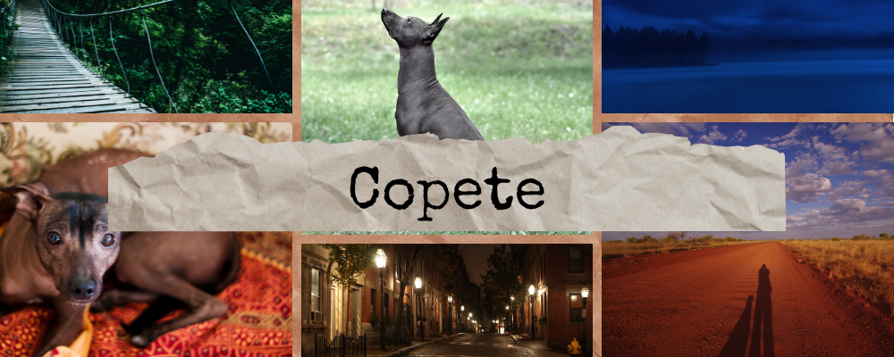 Copete